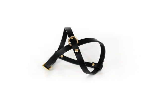 Cross Leather Harness