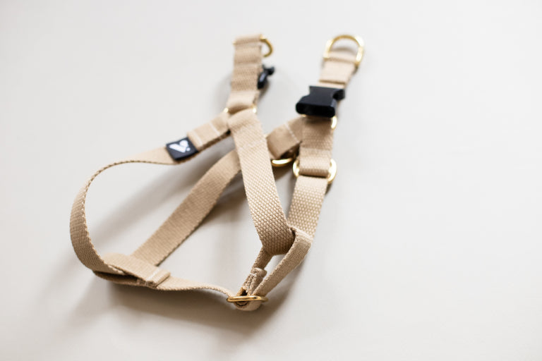 Cotton Harness