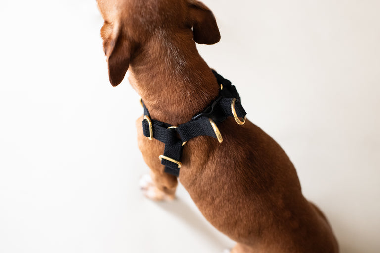 Cotton Harness