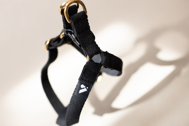 Cotton Harness