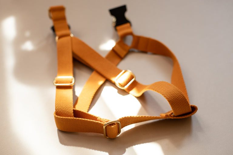 Cotton Harness