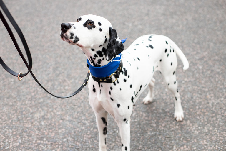 Readywear Cotton Neckerchief