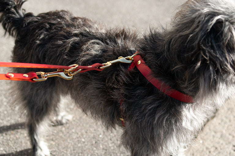 Cross Leather Harness