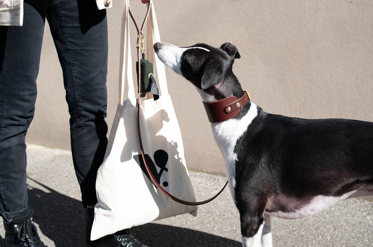 Natural Cotton Tote Bag