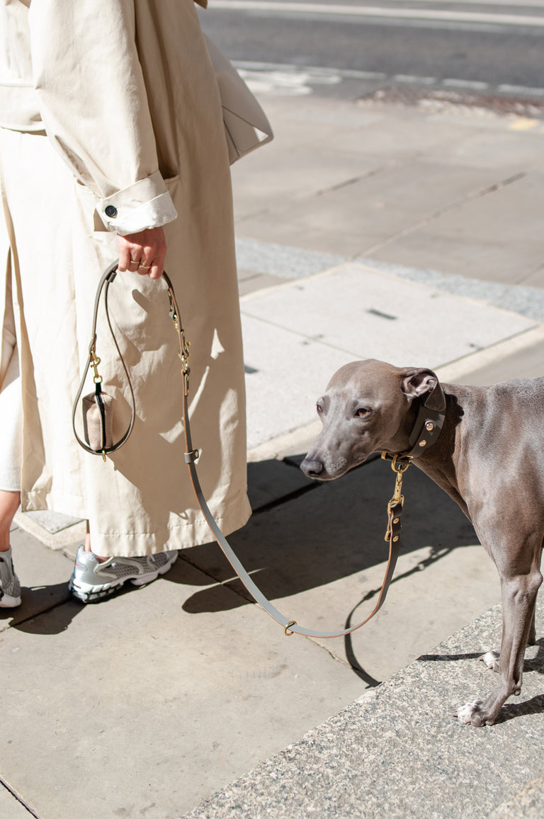 Hound Leather Collar