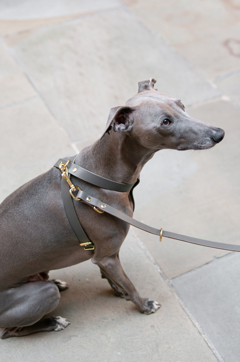 Cross Leather Harness