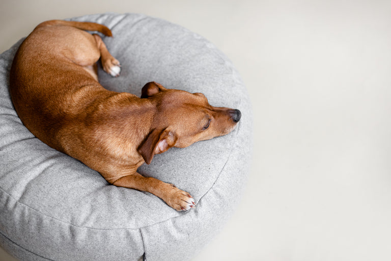 Ö - Floor Cushion