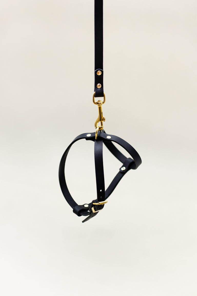 Cross Leather Harness