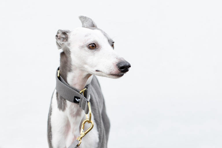 Cotton Martingale Collar