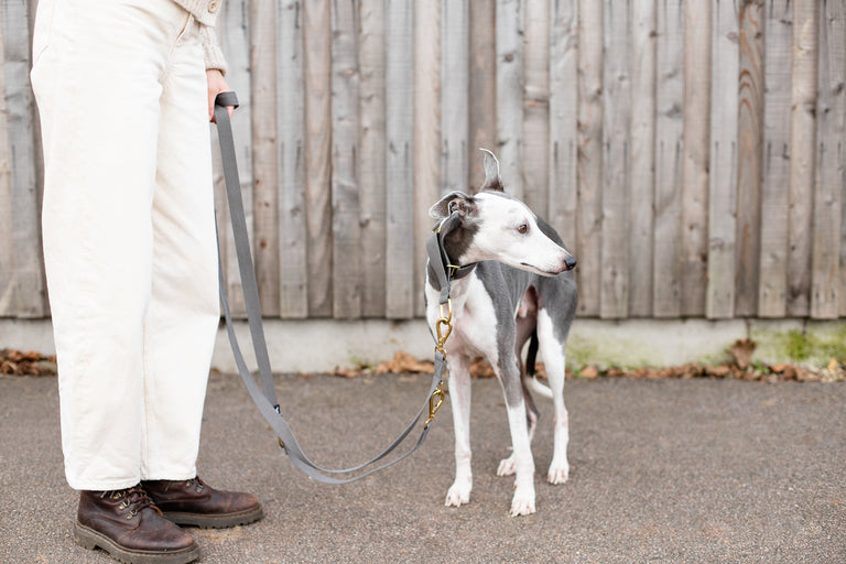 Cotton Martingale Collar