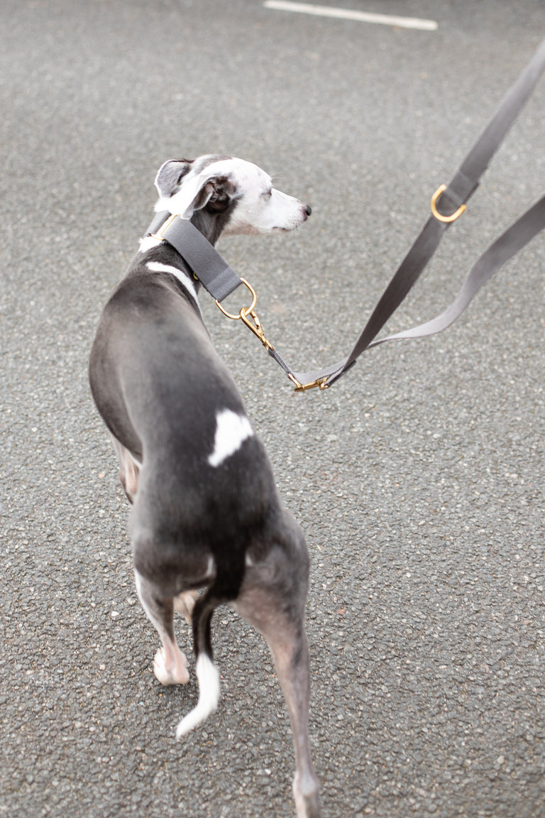 Cotton Martingale Collar