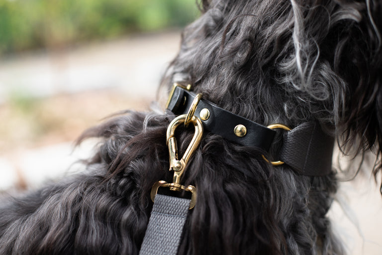 STHLM Hound Collar